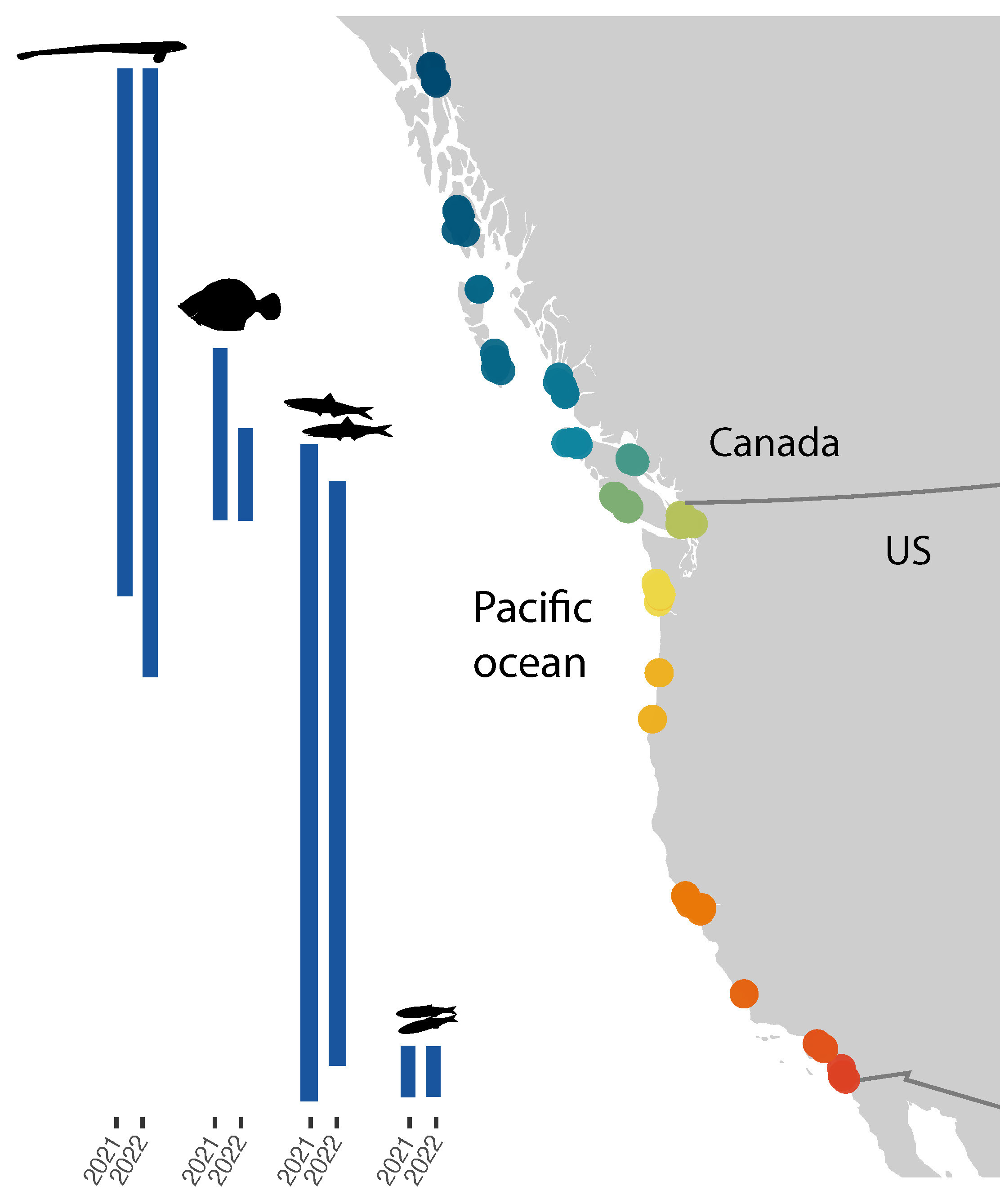 The Pacific eDNA Coastal Observatory (PECO): A Framework for Transboundary Collaboration