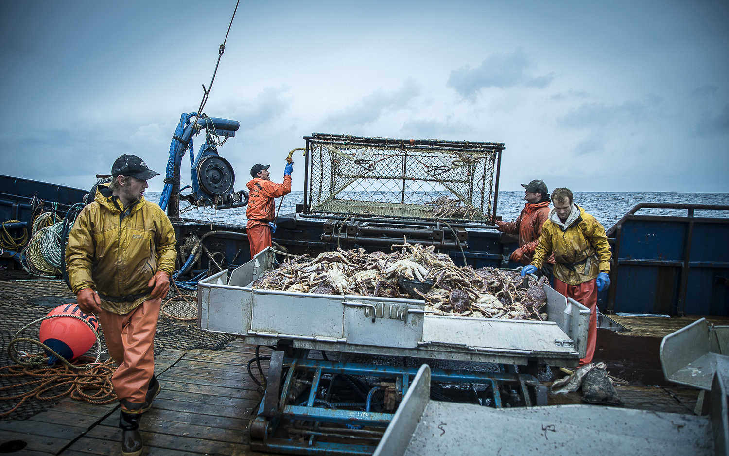 Fisheries and Food Security