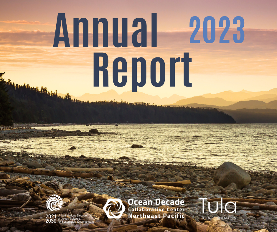 The Ocean Decade and DCC Annual Progress Reports Released