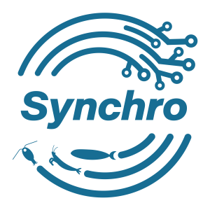 Synchro Logo