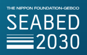Detection of Undersea Features Logo