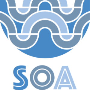 Leveraging our Networks for the Ocean Decade Logo