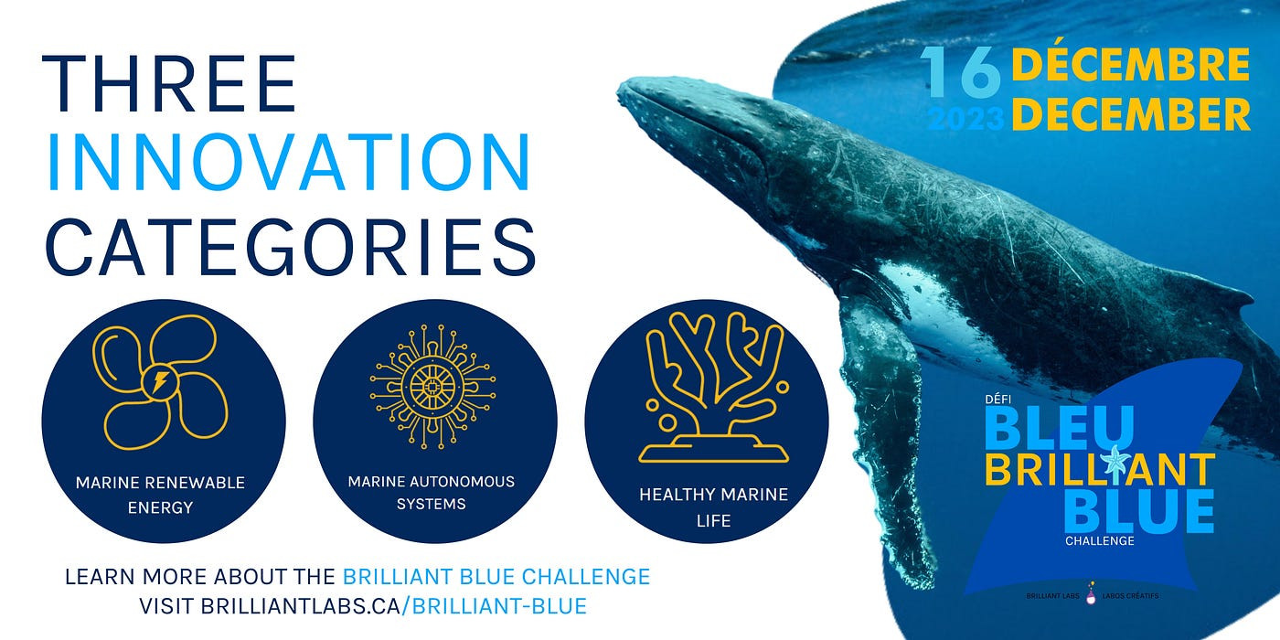 Brilliant Blue Challenge 2023